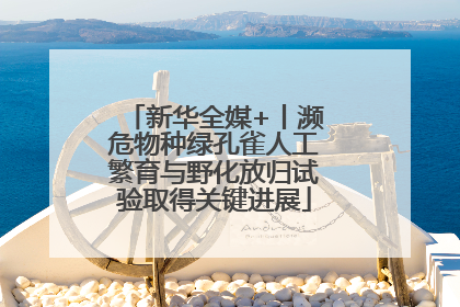 新华全媒+丨濒危物种绿孔雀人工繁育与野化放归试验取得关键进展