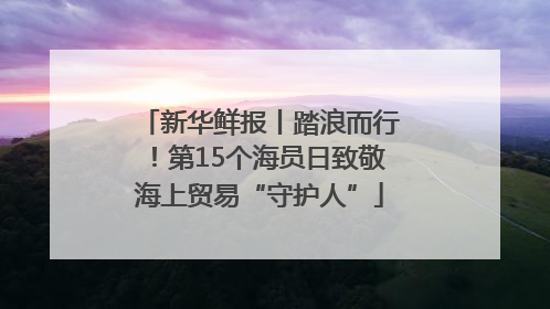 新华鲜报丨踏浪而行！第15个海员日致敬海上贸易“守护人”