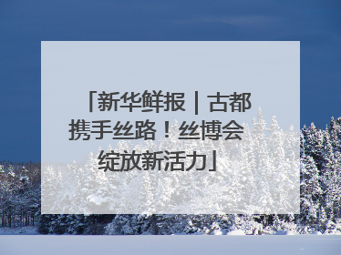 新华鲜报｜古都携手丝路！丝博会绽放新活力