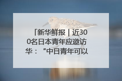 新华鲜报｜近300名日本青年应邀访华：“中日青年可以创造更好的未来”