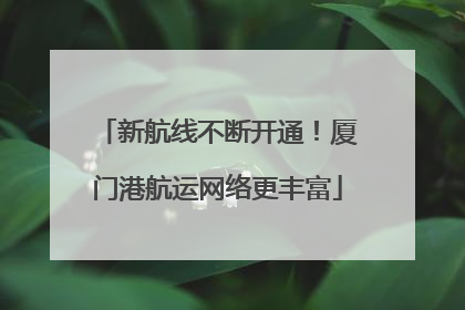 新航线不断开通！厦门港航运网络更丰富