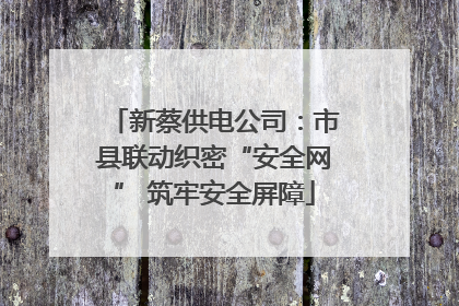 新蔡供电公司：市县联动织密“安全网” 筑牢安全屏障