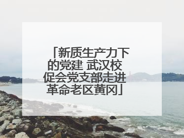 新质生产力下的党建 武汉校促会党支部走进革命老区黄冈