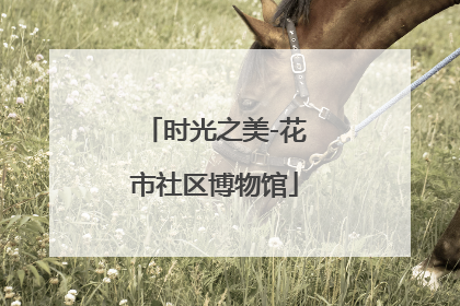 时光之美-花市社区博物馆