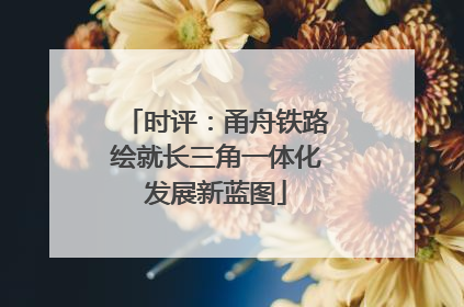 时评：甬舟铁路绘就长三角一体化发展新蓝图
