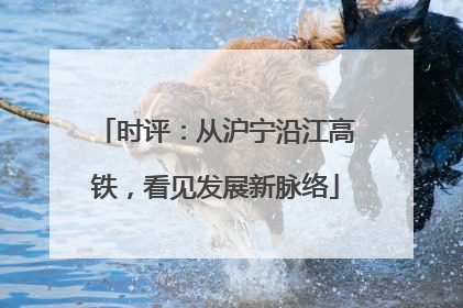时评：从沪宁沿江高铁，看见发展新脉络