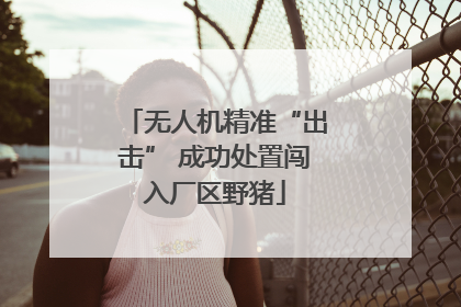 无人机精准“出击” 成功处置闯入厂区野猪