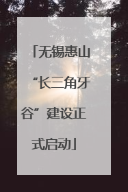 无锡惠山“长三角牙谷”建设正式启动