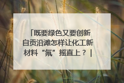 既要绿色又要创新 自贡沿滩怎样让化工新材料“氟”摇直上？｜美好生活有“盐”味