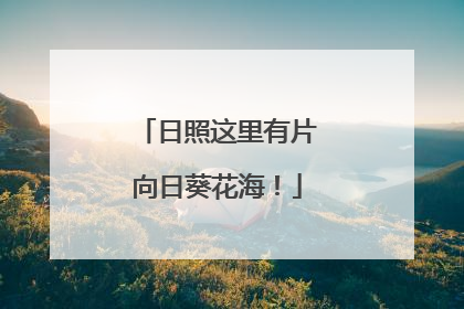 日照这里有片向日葵花海！
