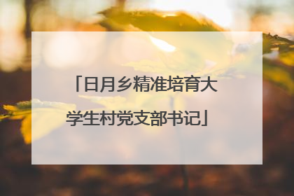 日月乡精准培育大学生村党支部书记