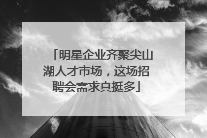 明星企业齐聚尖山湖人才市场，这场招聘会需求真挺多