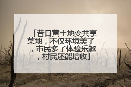 昔日黄土地变共享菜地，不仅环境美了，市民多了体验乐趣，村民还能增收