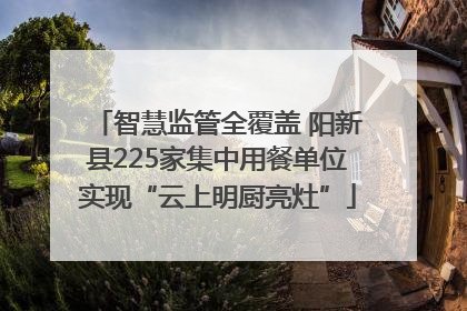 智慧监管全覆盖 阳新县225家集中用餐单位实现“云上明厨亮灶”