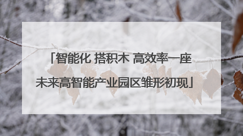 智能化 搭积木 高效率一座未来高智能产业园区雏形初现