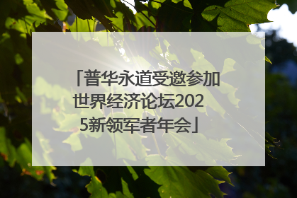 普华永道受邀参加世界经济论坛2025新领军者年会