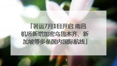 暑运7月1日开启 南昌机场新增加密乌鲁木齐、新加坡等多条国内国际航线