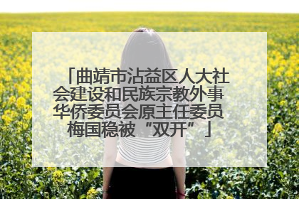 曲靖市沾益区人大社会建设和民族宗教外事华侨委员会原主任委员梅国稳被“双开”