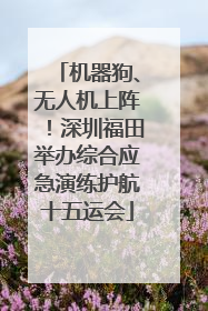 机器狗、无人机上阵！深圳福田举办综合应急演练护航十五运会