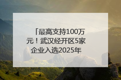 最高支持100万元！武汉经开区5家企业入选2025年度武汉市重点研发计划拟立项项目名单