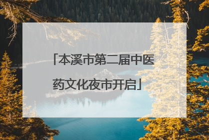 本溪市第二届中医药文化夜市开启