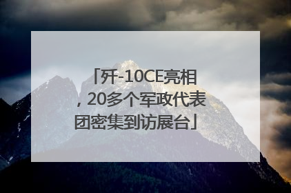歼-10CE亮相，20多个军政代表团密集到访展台
