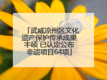 武威凉州区文化遗产保护传承成果丰硕 已认定公布非遗项目64项
