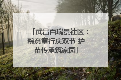 武昌百瑞景社区：粽意童行庆双节 护苗传承筑家园