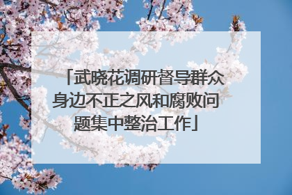 武晓花调研督导群众身边不正之风和腐败问题集中整治工作
