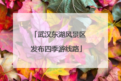 武汉东湖风景区发布四季游线路