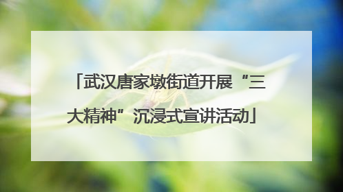 武汉唐家墩街道开展“三大精神”沉浸式宣讲活动