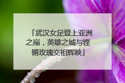 武汉女足登上亚洲之巅，英雄之城与铿锵玫瑰交相辉映