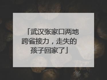 武汉张家口两地跨省接力，走失的孩子回家了