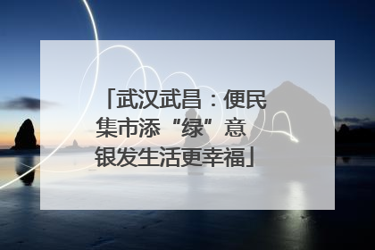 武汉武昌：便民集市添“绿”意 银发生活更幸福
