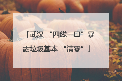 武汉 “四线一口”暴露垃圾基本 “清零”