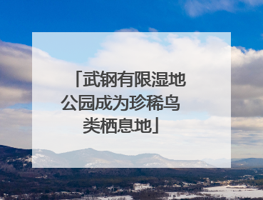 武钢有限湿地公园成为珍稀鸟类栖息地