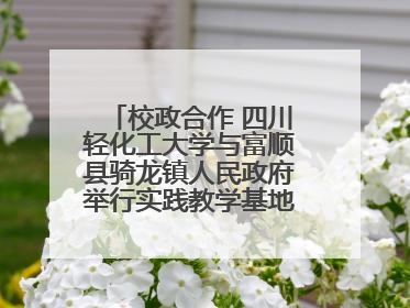校政合作 四川轻化工大学与富顺县骑龙镇人民政府举行实践教学基地授牌仪式