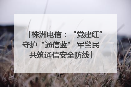 株洲电信：“党建红”守护“通信蓝” 军警民共筑通信安全防线