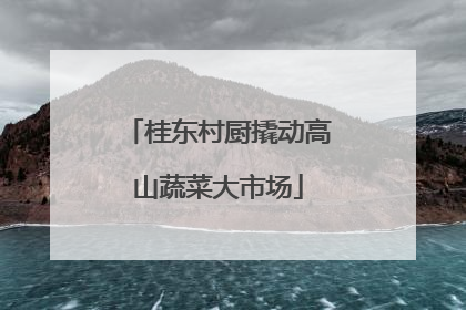 桂东村厨撬动高山蔬菜大市场