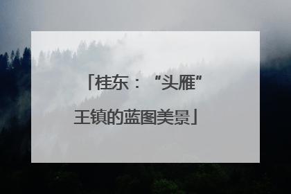 桂东：“头雁”王镇的蓝图美景