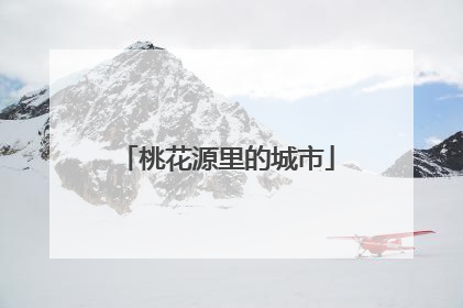 桃花源里的城市