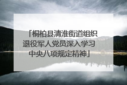 桐柏县清淮街道组织退役军人党员深入学习中央八项规定精神