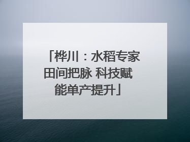 桦川：水稻专家田间把脉 科技赋能单产提升