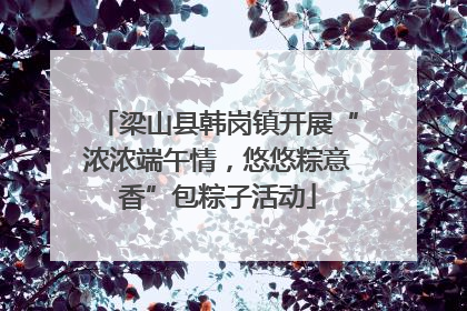 梁山县韩岗镇开展“浓浓端午情，悠悠粽意香”包粽子活动