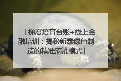 梯度培育台账+线上金融培训：揭秘新泰绿色制造的精准滴灌模式