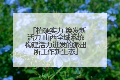 植硬实力 焕发新活力 山西全域系统构建活力迸发的派出所工作新生态