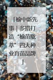 榆中新先事｜多措打造“榆苗陇萃”四大种业育苗品牌