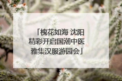 槐花如海 沈阳精彩开启国潮中医雅集汉服游园会