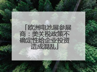 欧洲电池展参展商：美关税政策不确定性给企业投资造成混乱