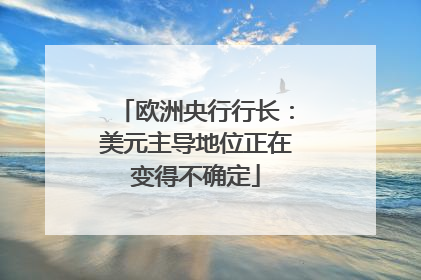 欧洲央行行长：美元主导地位正在变得不确定